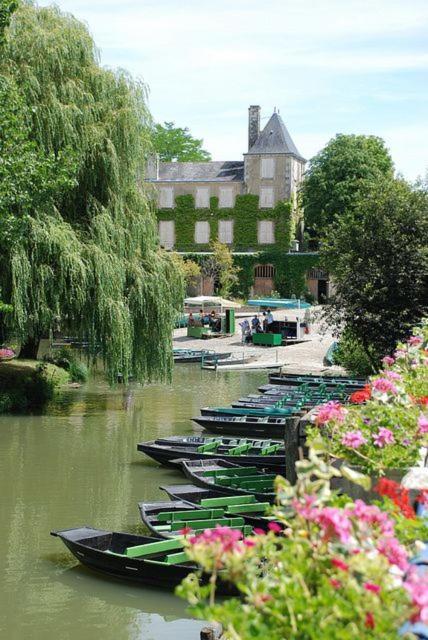 Mauzé-sur-le-MignonLa Cagouille住宿加早餐旅馆 外观 照片